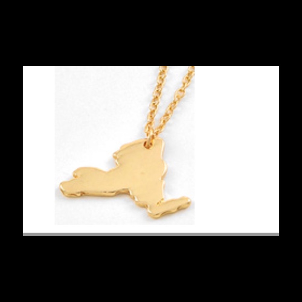 NY State gold plate Necklace NWT